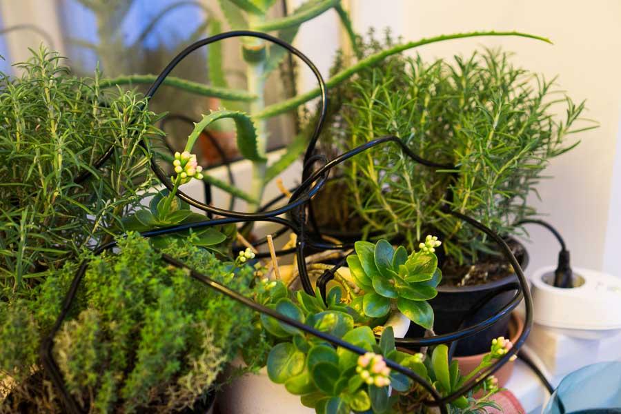 Virágcserepek öntözőrendszerének automatizálása