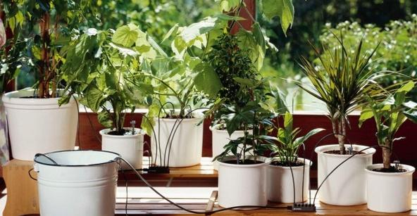 Virágcserepek öntözőrendszerének automatizálása