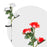 Leszúrható szolár virág - piros, fehér rózsa, RGB LED - 70 cm - 2 db / csomag